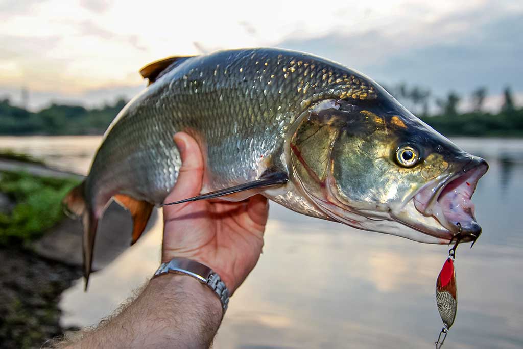 Klasika tapęs metalo gabalėlis. Antra dalis