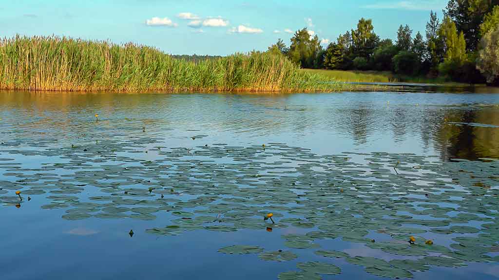 Sugrįžimas, kur giedra, šilta ir žalia
