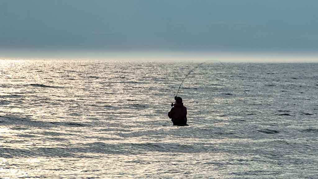 Vėjo žuvies gaudymas. Pirma dalis