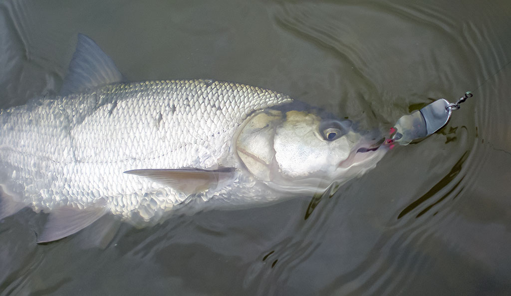 Klasika tapęs metalo gabalėlis. Antra dalis