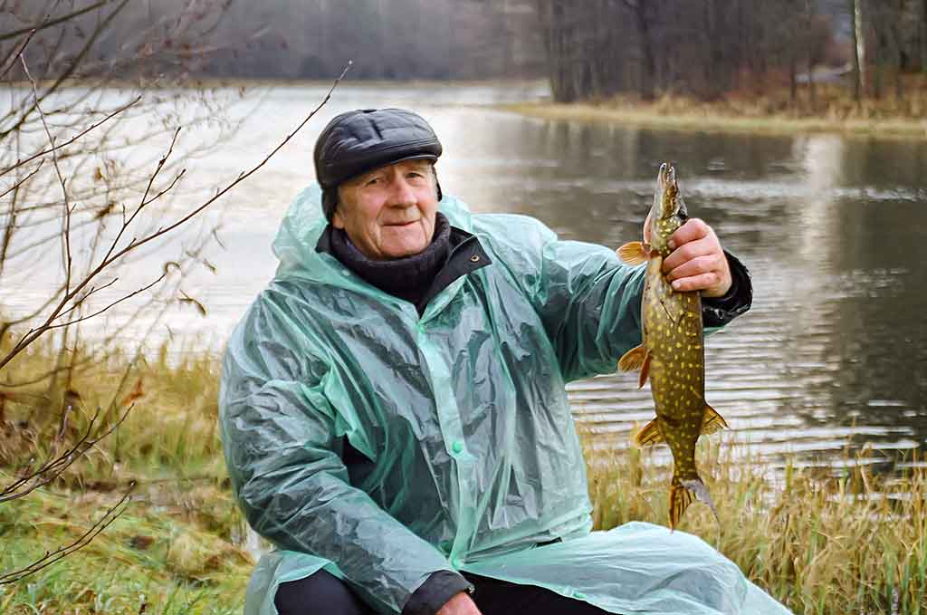 Dvi dienos iki Kiaulės metų. Antra dalis