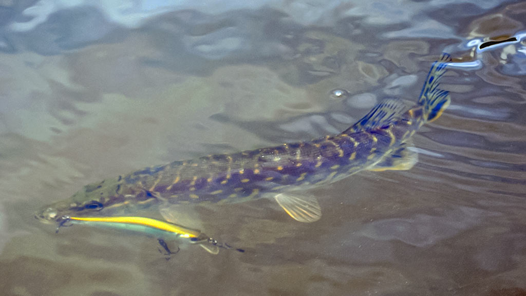 Pakibęs vandens storymėje. Pirma dalis 