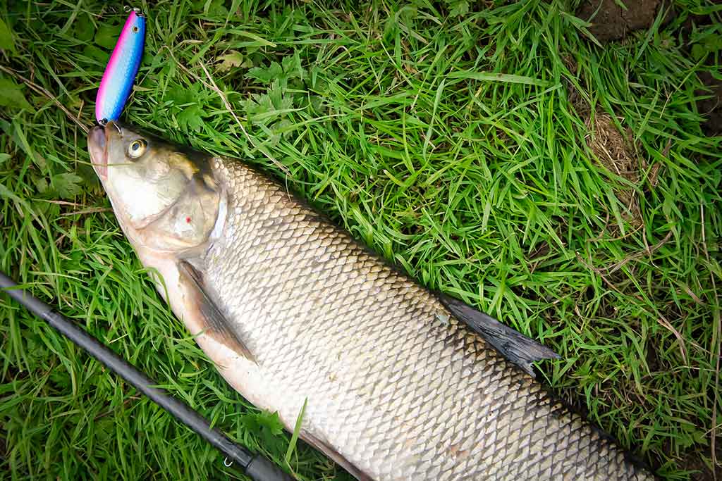 Devyneri metai su Lucky John Maibe