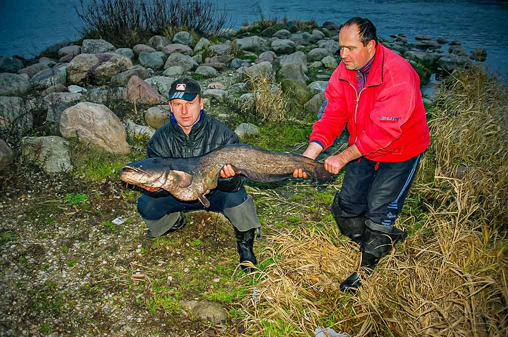 Penkių kilometrų maratonas pakui šamą Penkių kilometrų maratonas pakui šamą