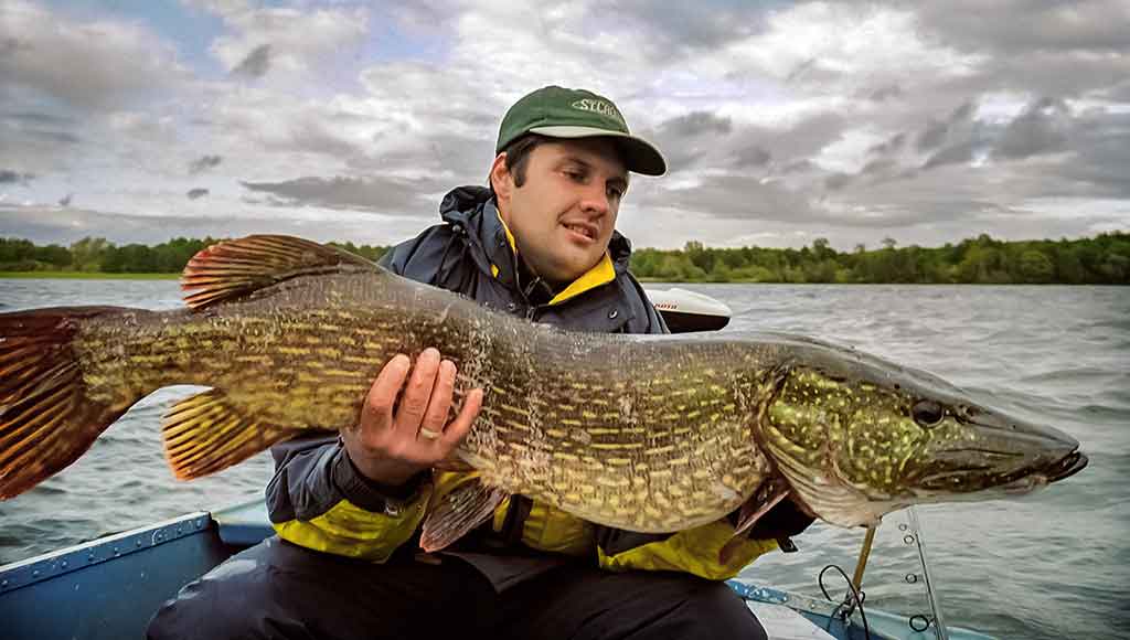Tie tingūs dideli „krokodilai“ Tie tingūs dideli „krokodilai“
