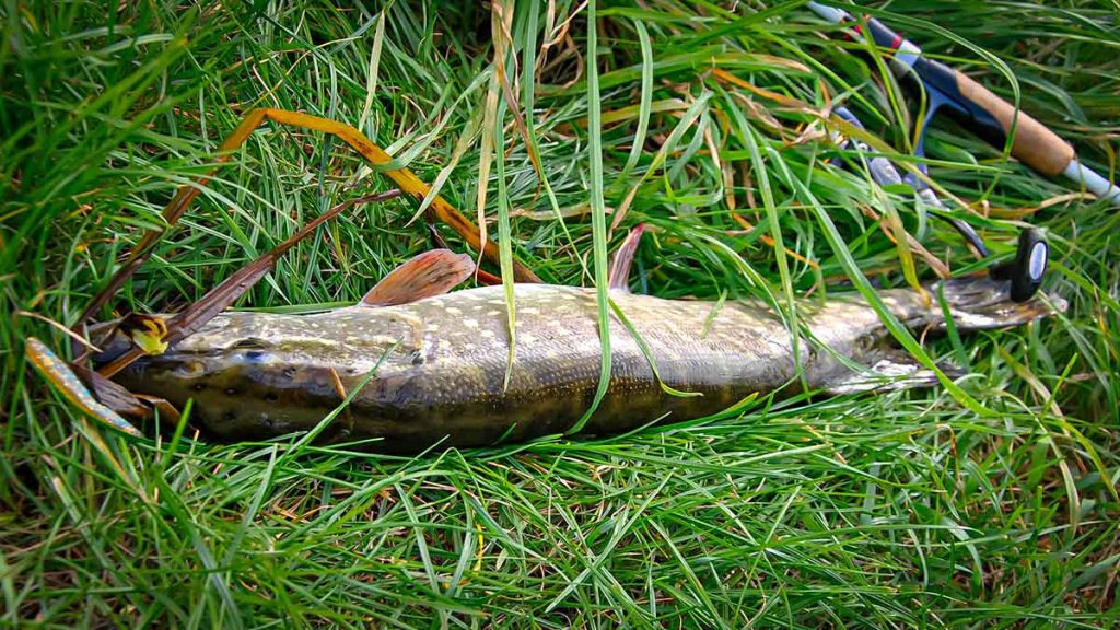 Šalto rudens malonumai