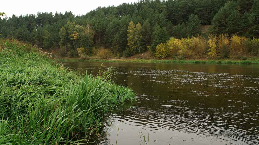 Šapalų spiningavimas įpusėjus rudeniui