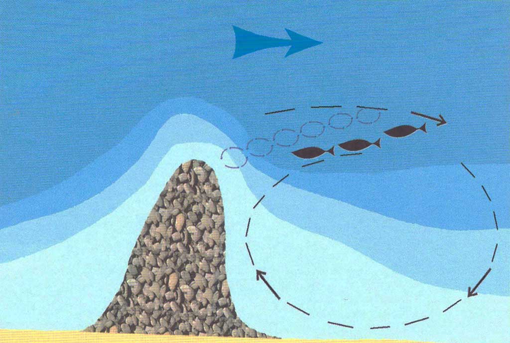 Šapalo šypsena. Trečia dalis Šapalo šypsena. Trečia dalis