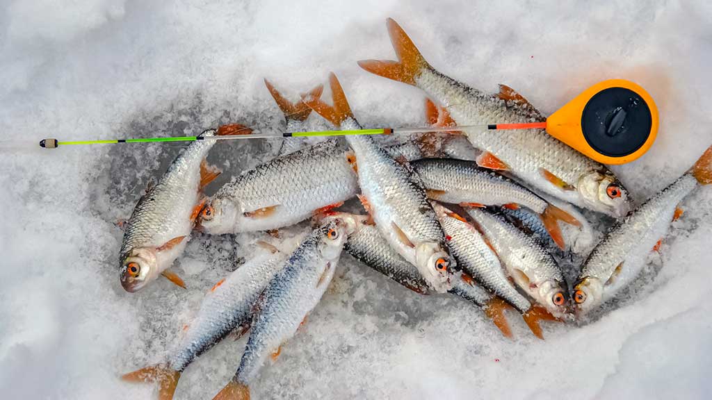 „Sunkūs“ vandens telkiniai „Sunkūs“ vandens telkiniai