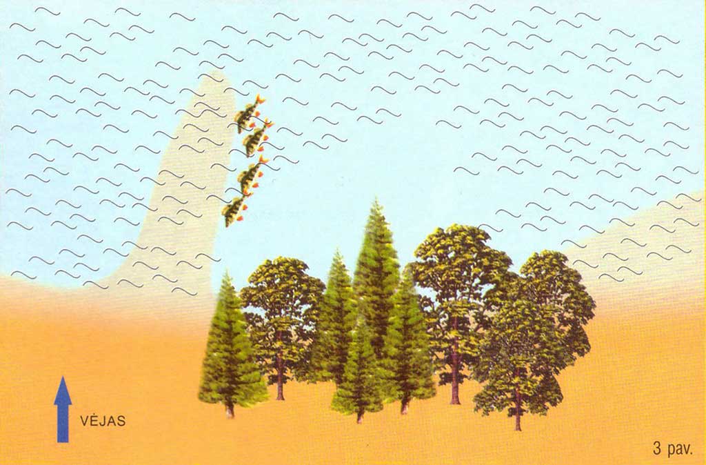 Apie saulę, vėją ir lietų. Antra dalis