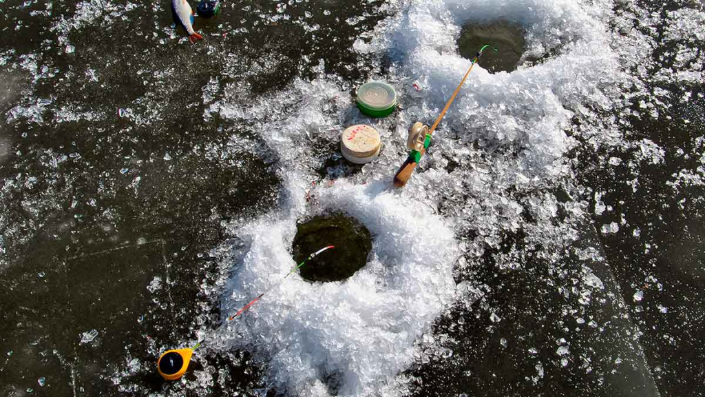 Kaip pagauti kuoją? Kaip pagauti kuoją?