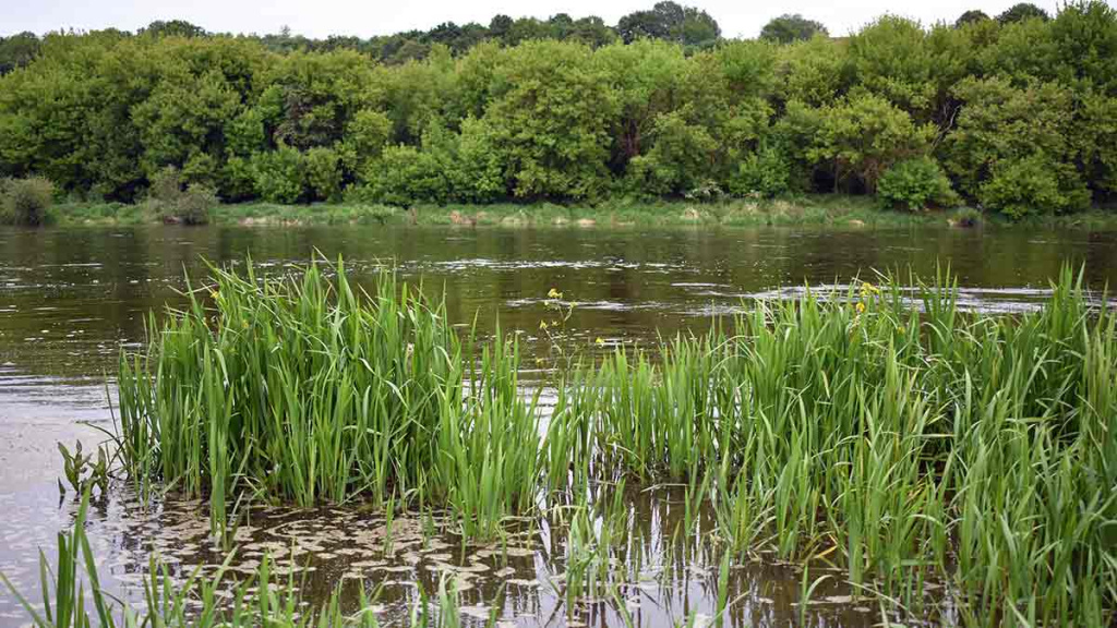Kai žuvims gera – meškeriotojui liūdna Kai žuvims gera – meškeriotojui liūdna