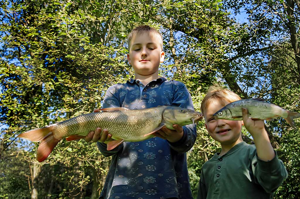 Kaip sutramdyti „arklius“. Pirma dalis Kaip sutramdyti „arklius“. Pirma dalis