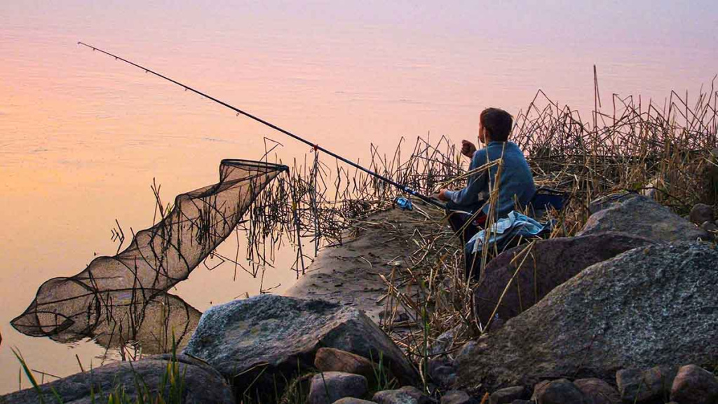 Pirma ir paskutinė žuvis