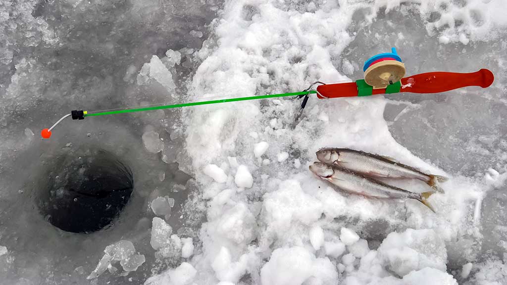 Kuršmarėse kimba ne vien stintos. Antra dalis Kuršmarėse kimba ne vien stintos. Antra dalis
