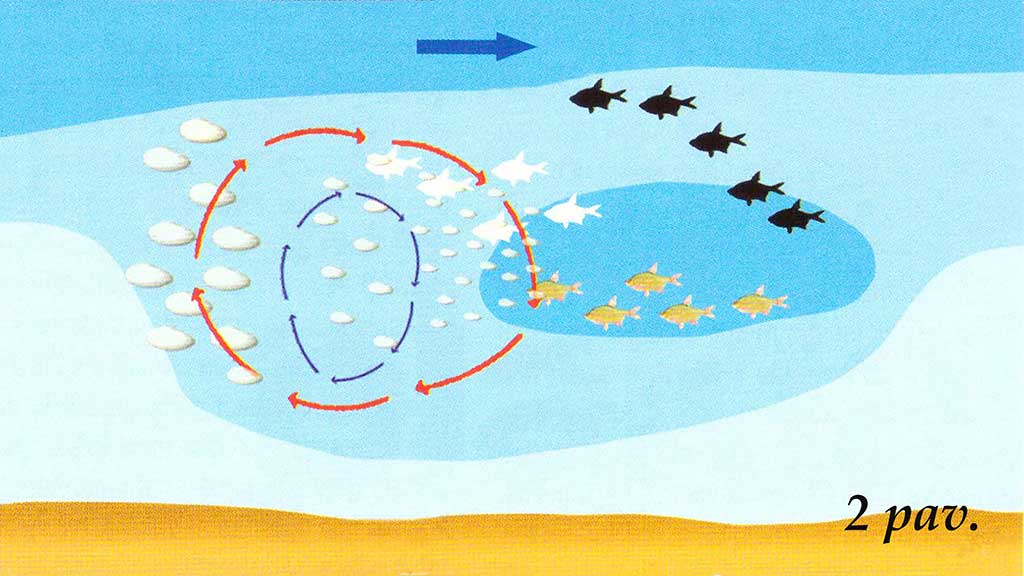 Didžiųjų upių plakiai. Antra dalis