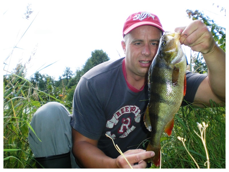 Stambūs kupriai mėgsta didelius gylius, kurie kaitaliojasi su seklumomis. 