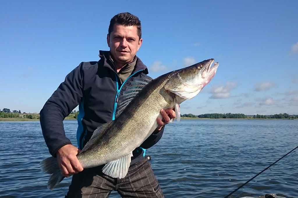 Ežerinio sterko paslaptis. Antra dalis