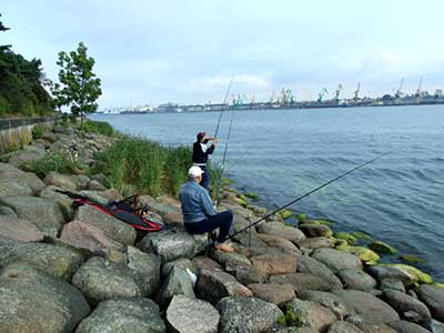 Pranašesnė komandinio meškeriojimo taktika