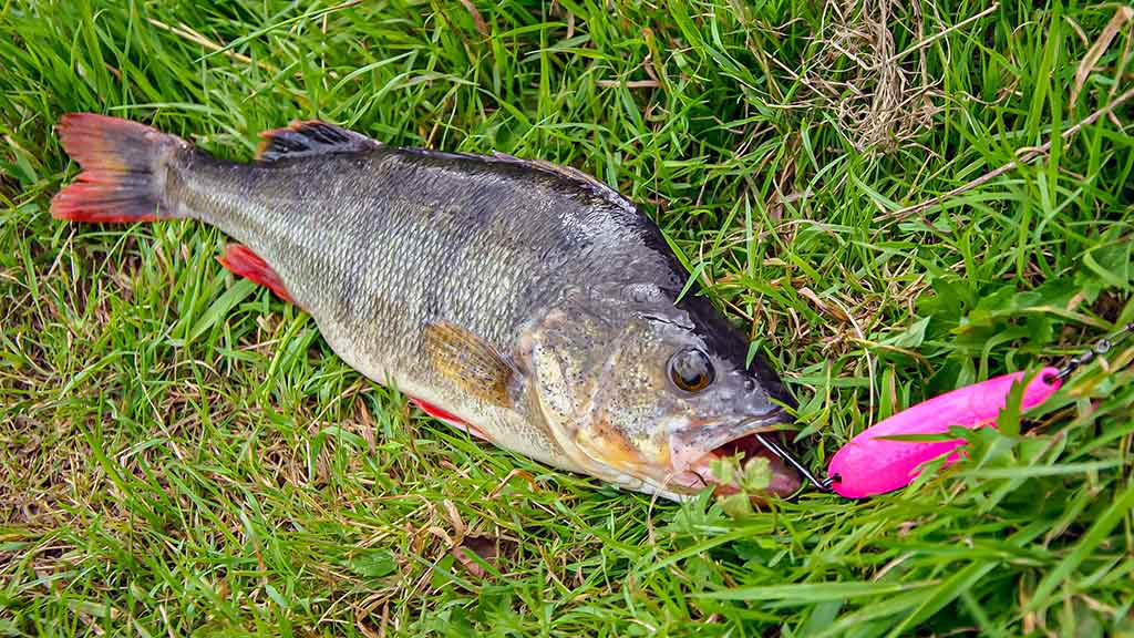 Jei vartiklę prilyginsime guminukui