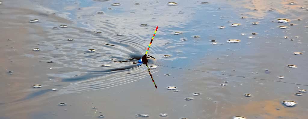 Paprastai apie plūdę. Antenėlė