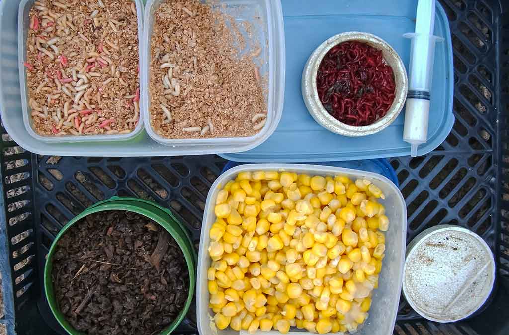 Kiekvienoje baloje savos taisyklės. Pirma dalis Kiekvienoje baloje savos taisyklės. Pirma dalis