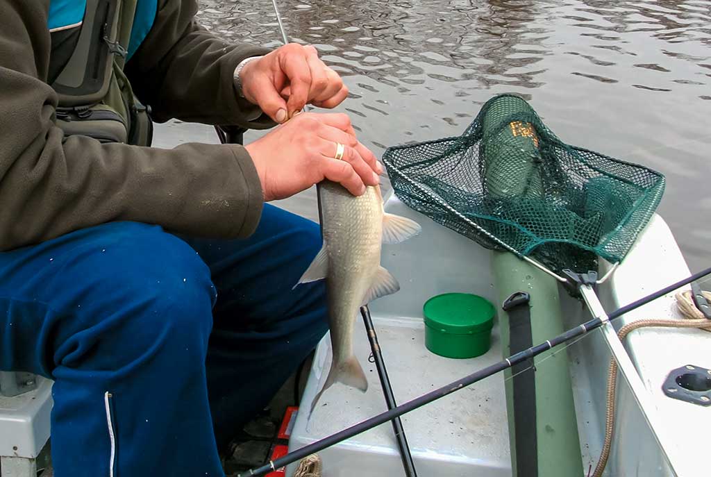 Rytmetinis plūdės šokis Rytmetinis plūdės šokis