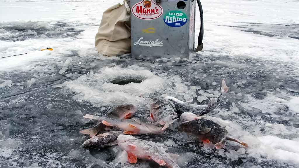 Apie žemaitiškų ešerių rojų Apie žemaitiškų ešerių rojų