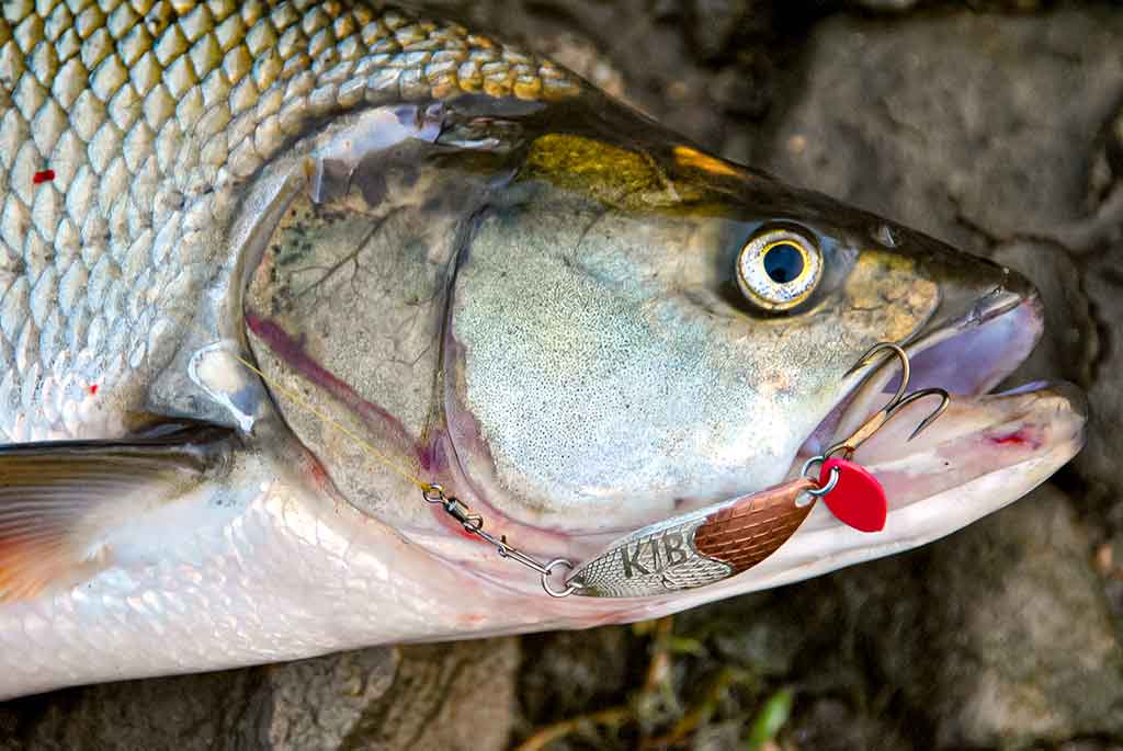 Klasika tapęs metalo gabalėlis. Pirma dalis Klasika tapęs metalo gabalėlis. Pirma dalis