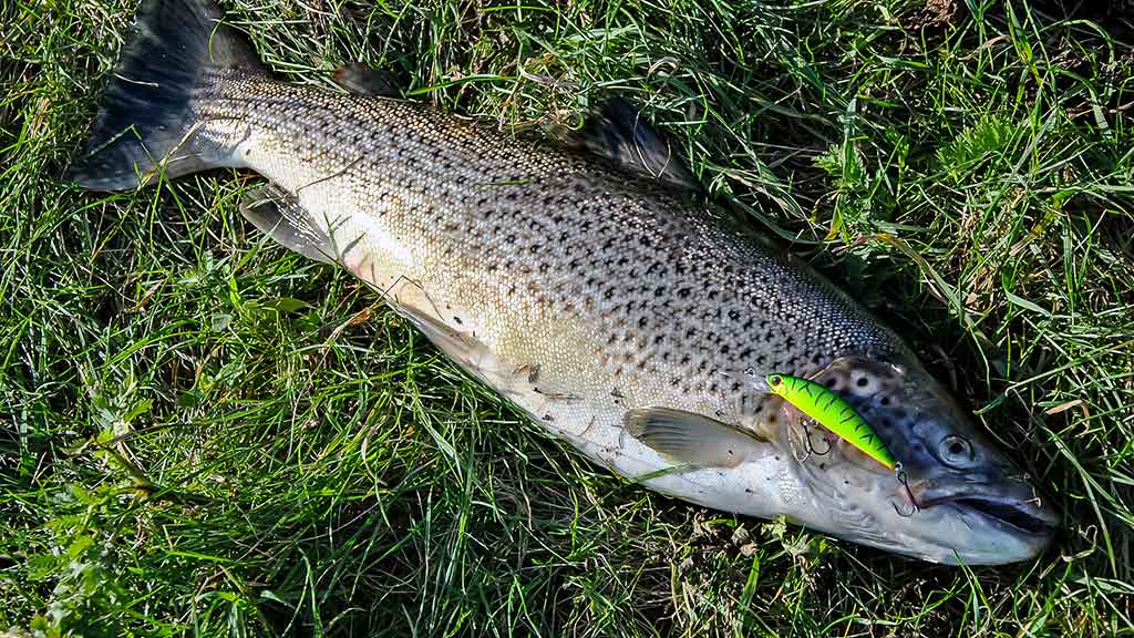 Kur, kaip ir kuo gaudome lašišas bei šlakius. III dalis