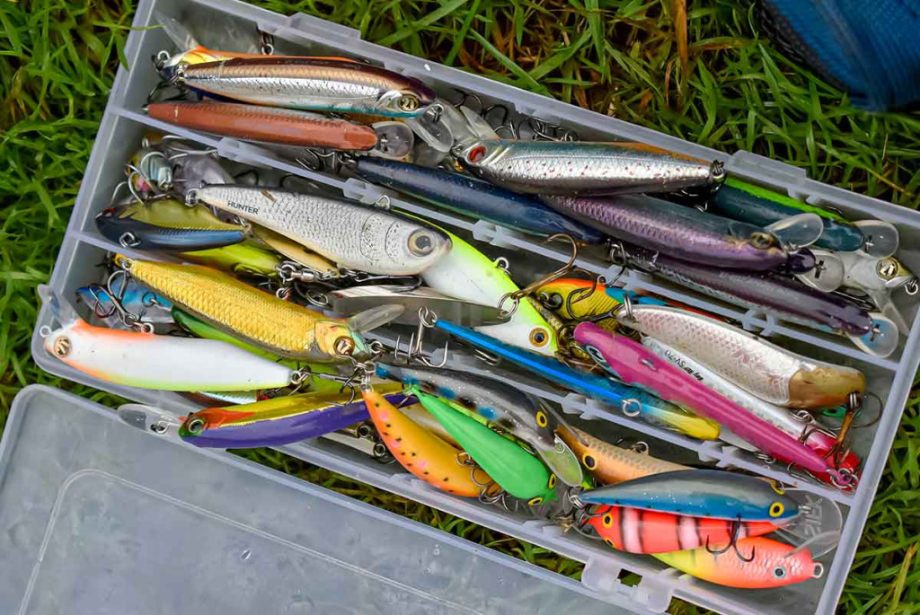 Salačių šventė Salačių šventė