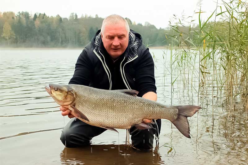 Salatis svėrė 7,45 kg