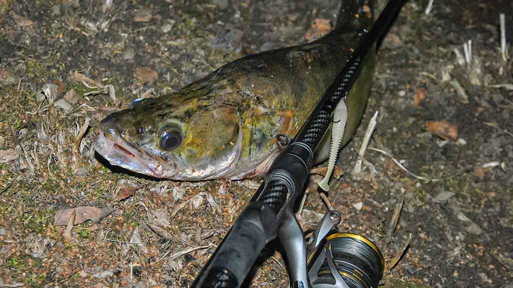 Rudeninė Nevėžio kasdienybė Rudeninė Nevėžio kasdienybė