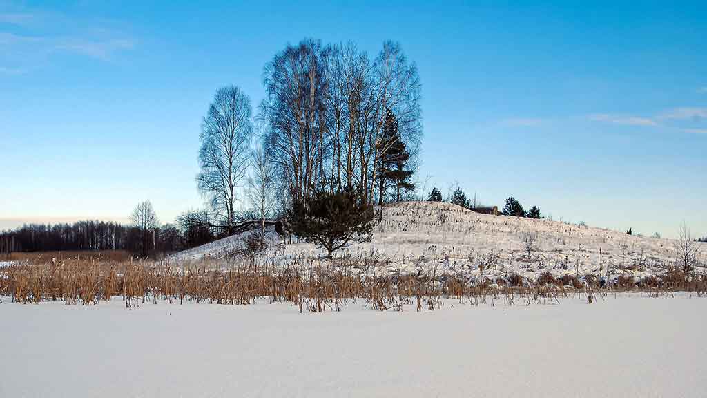 Kaip pagauti kuoją ir karšį? Kaip pagauti kuoją ir karšį?