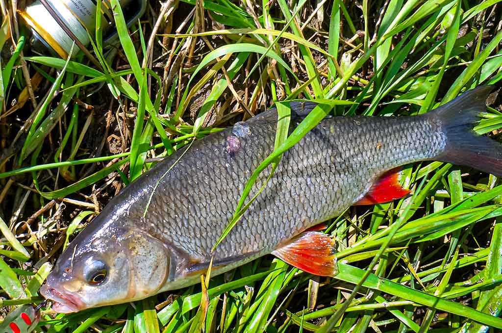 Klasika tapęs metalo gabalėlis. Antra dalis