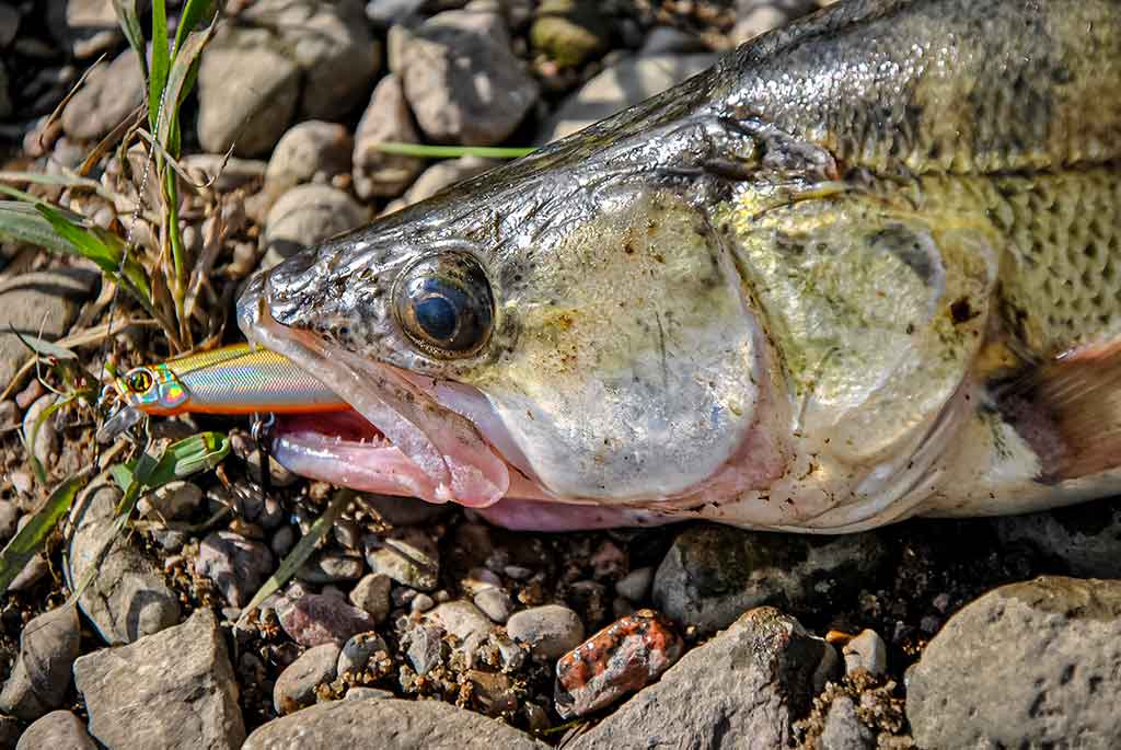 Iš paviršiaus į gilumą. Antra dalis Iš paviršiaus į gilumą. Antra dalis