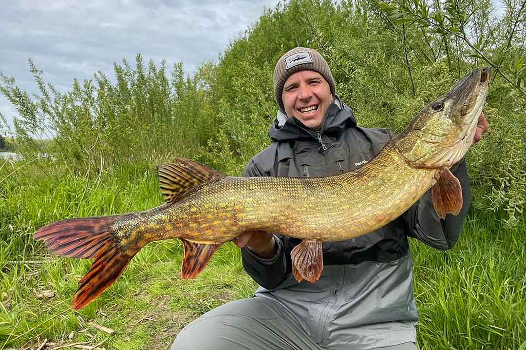 Tie tingūs dideli „krokodilai“ Tie tingūs dideli „krokodilai“