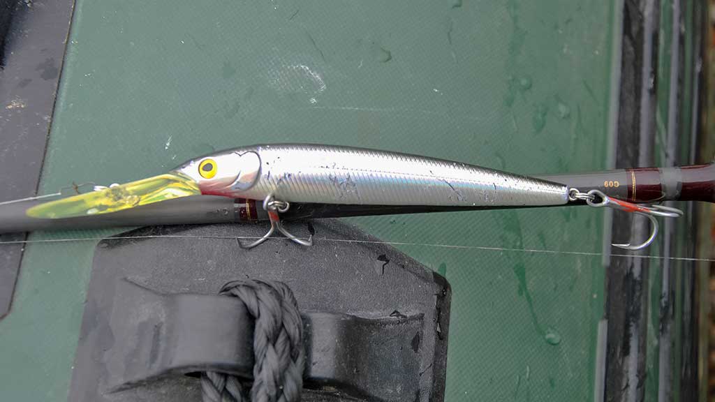 Ruduo, velkė ir minnow vobleriai. Trečia dalis