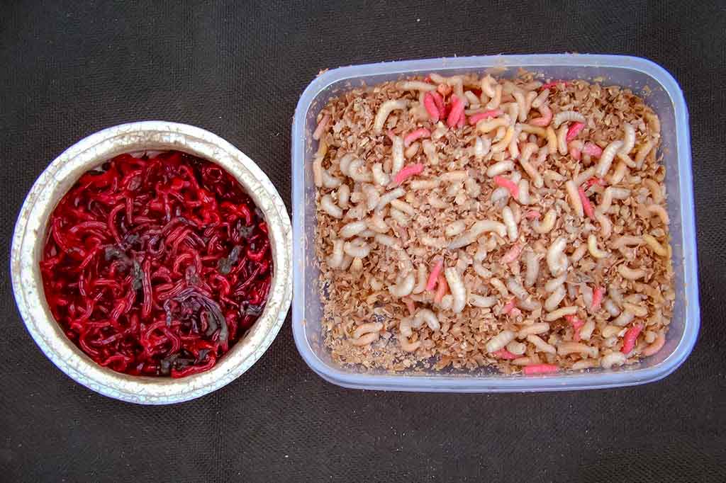 Išgyventi iki vakaro. Antra dalis Išgyventi iki vakaro. Antra dalis