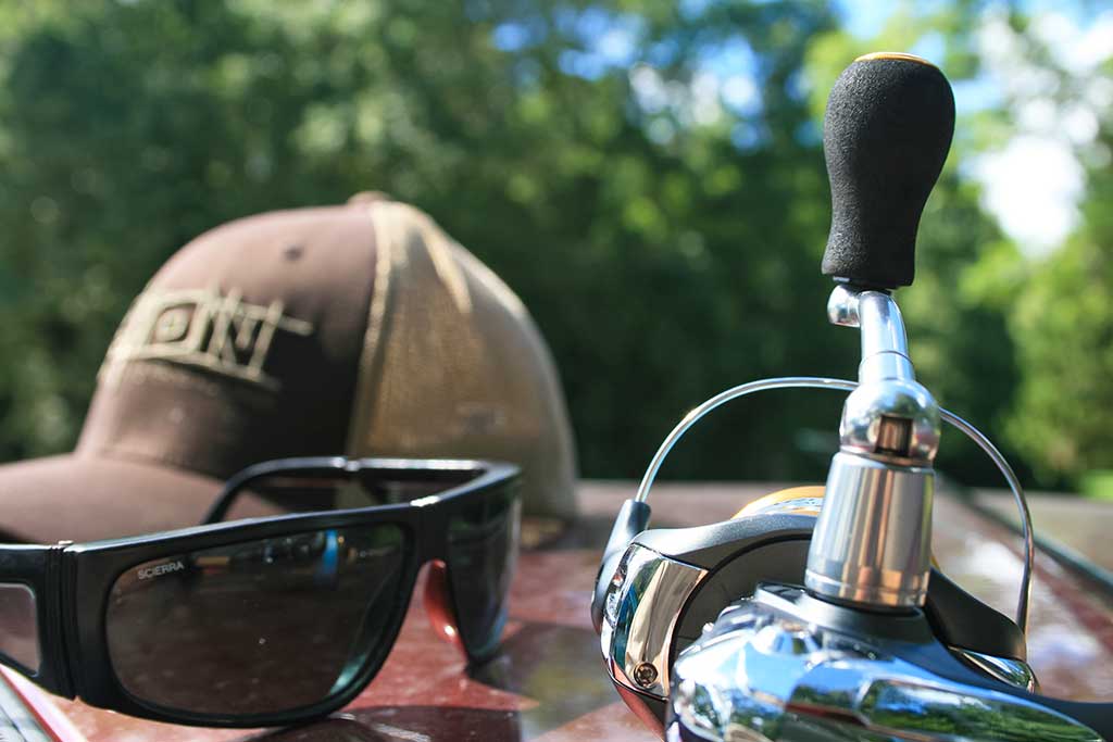 Paskutinės katino dienos Paskutinės katino dienos