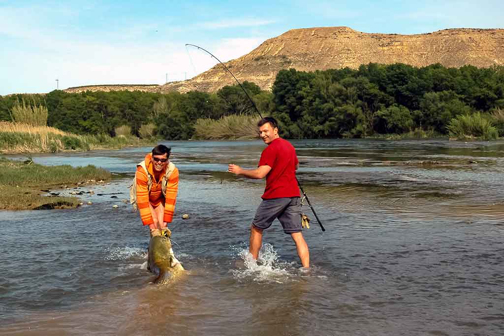 Apie ištrauktą ir neištrauktą žuvį Apie ištrauktą ir neištrauktą žuvį