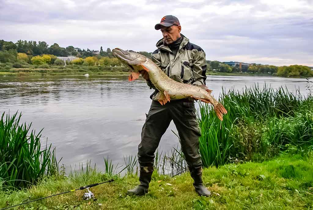 Salmo „Elite Jig&Twitch“ – didelės galimybės už mažą kainą