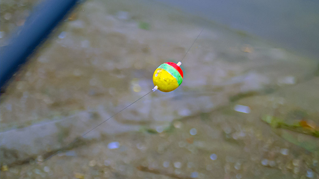 Dvi dienos iki Kiaulės metų. Antra dalis