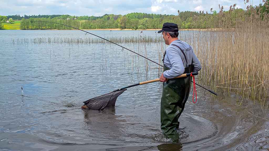 Karpių gaudymo vingrybės. Įranga ir sistemėlės Karpių gaudymo vingrybės. Įranga ir sistemėlės