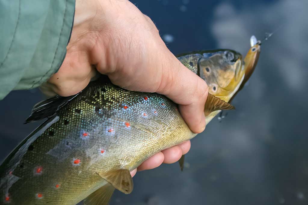 Paslaptingi Dubysos vingiai. Su spiningu – dar įdomiau