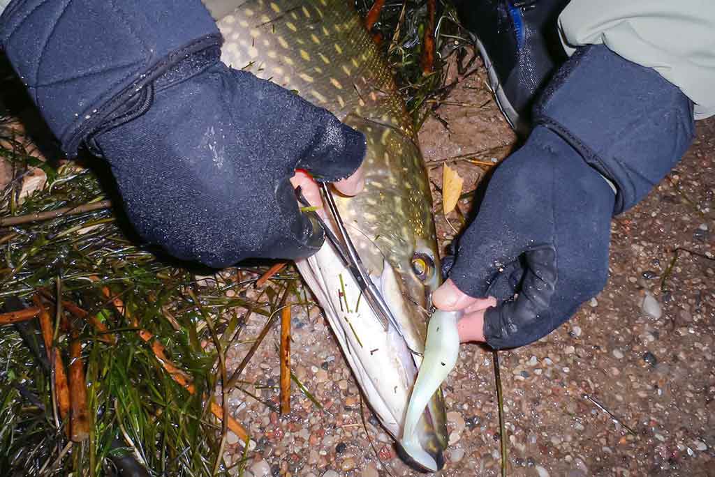 Šalto rudens malonumai