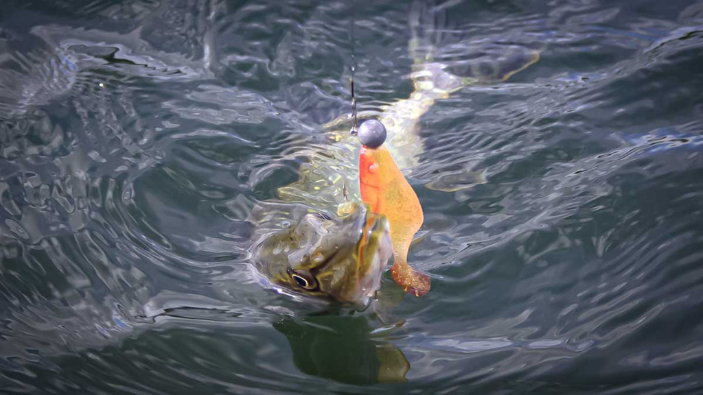 Šalto rudens malonumai