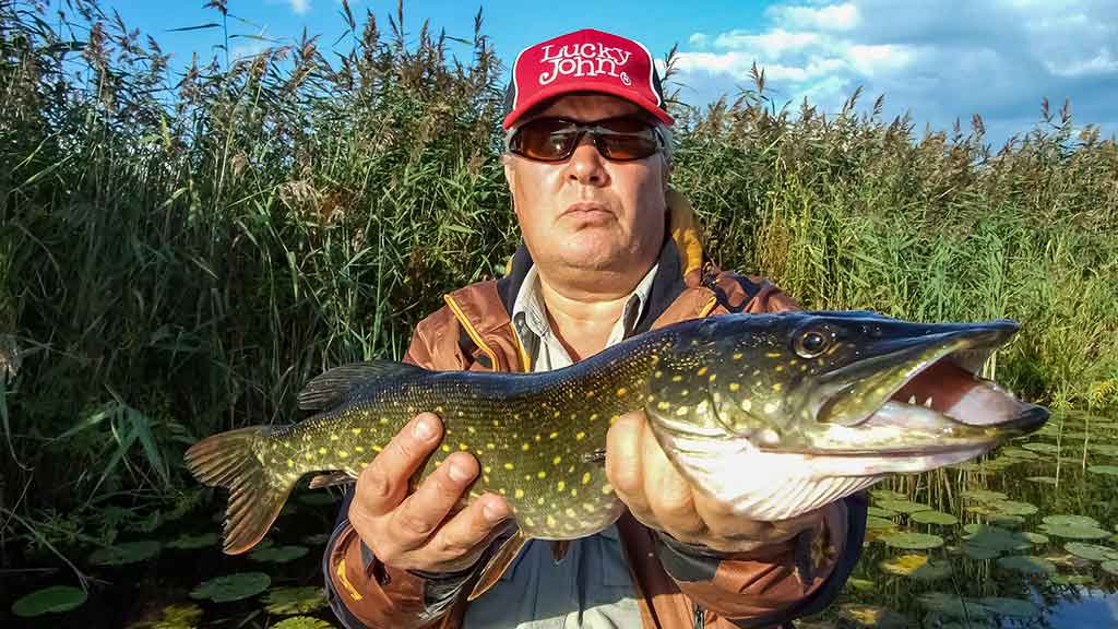 Tvičingas Nemuno žemupyje ir deltoje Tvičingas Nemuno žemupyje ir deltoje