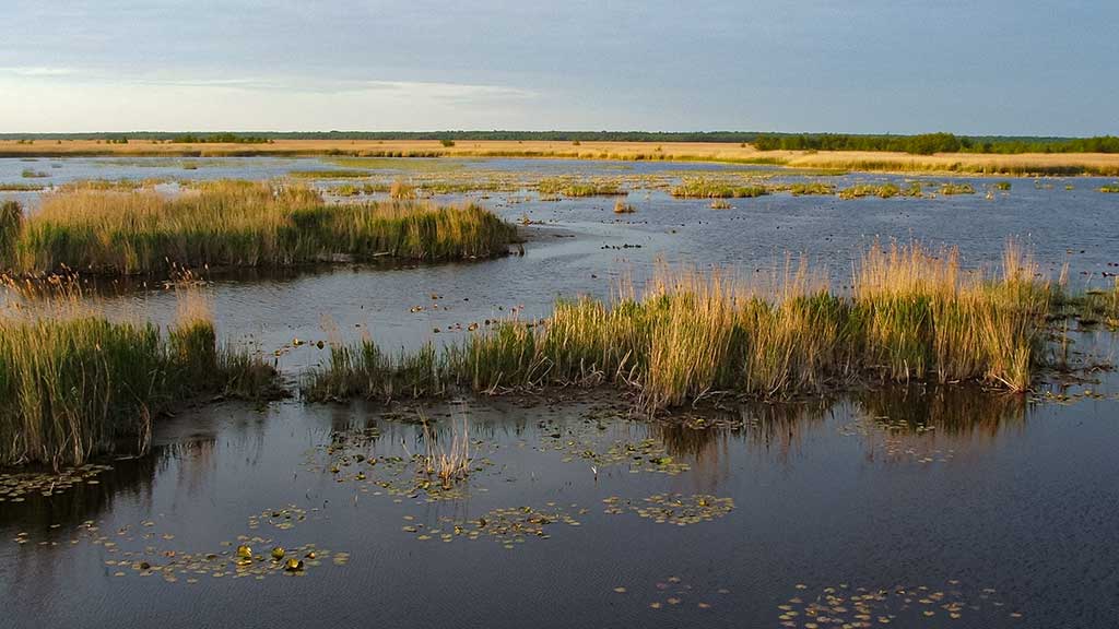 Spiningavimas topvoteriais. Pirma dalis