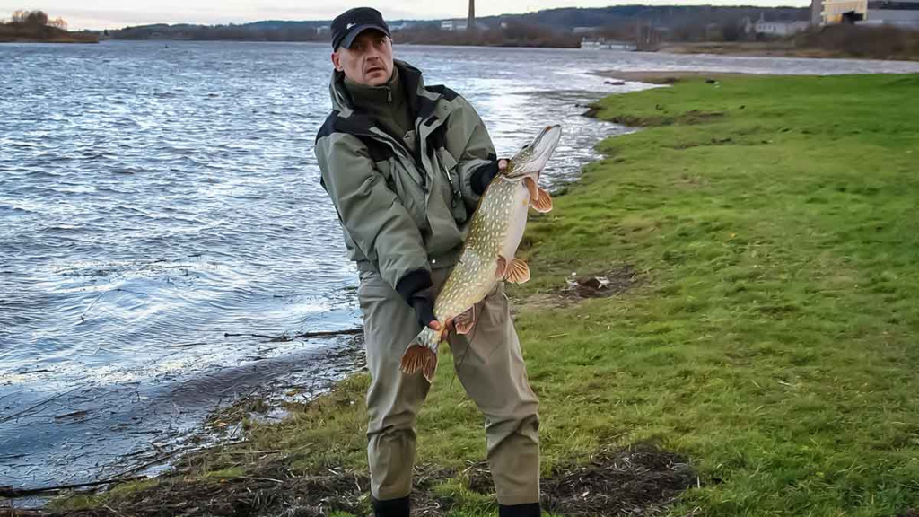 Ta gerai pažįstama mįslinga lydeka. Pirma dalis Ta gerai pažįstama mįslinga lydeka. Pirma dalis